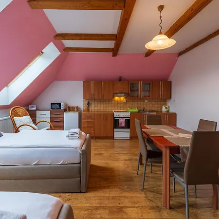 Guest house Na Spicaku 3*