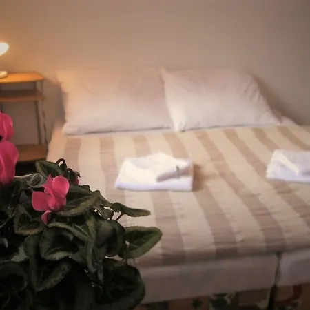 Na Spicaku 3* Cesky Krumlov